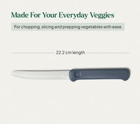 Vegetable Knife - Nilgiri Blue